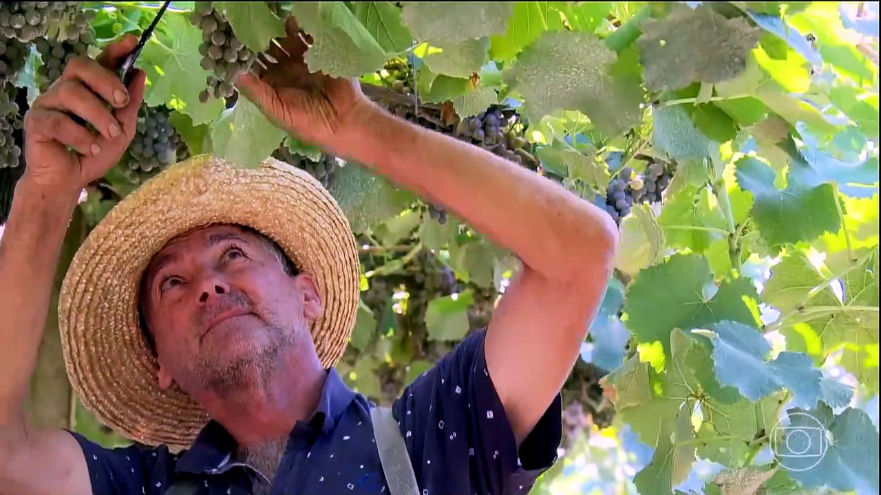 Globo Rural hoje (19/04): Confira os destaques do programa deste domingo