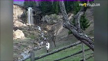 Nicolae Furdui Iancu - Pe carare sub un brad (Popasuri folclorice - arhiva TVR)