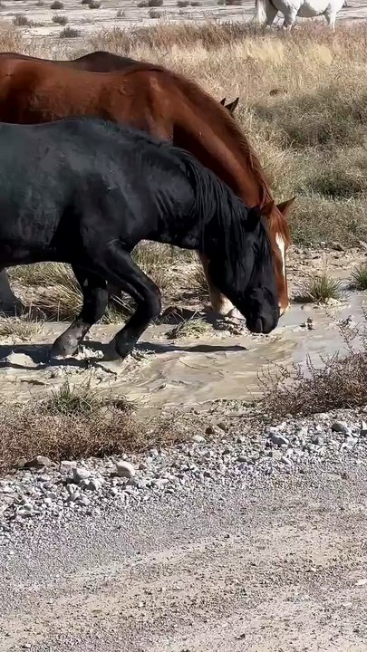 When you just want to take your lunch nap and you have a piranha of a little brother like Finley.