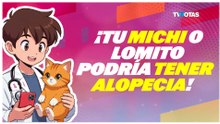 ¿Tu mascota pierde mucho pelo? Podría ser alopecia y esto es lo que debes saber