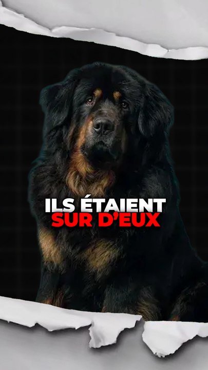 Un chien original