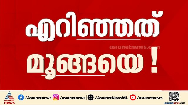 എറിഞ്ഞത് മൂങ്ങയെ; ട്രെയിന്‍ യാത്രയ്ക്കിടെ യുവതിയെ കല്ലെറിഞ്ഞ കേസിൽ പ്രതിപിടിയിൽ | Kozhikode