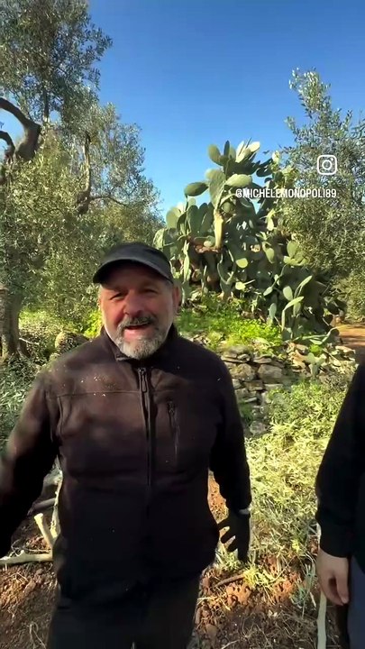 Michele monopoli story trova le differenze