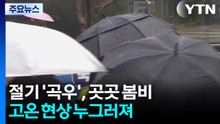 [날씨] 절기 '곡우' 곳곳 봄비, 고온 현상 누그러져...오후부터 황사 유입 / YTN