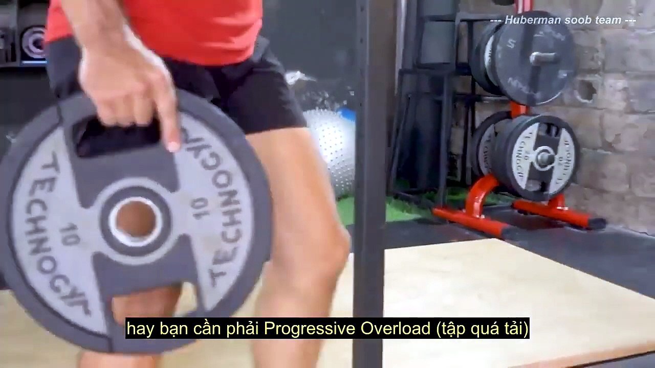 15 Sai lầm ngu dốt khi xây dựng cơ bắp mà tôi ước mình biết sớm hơn