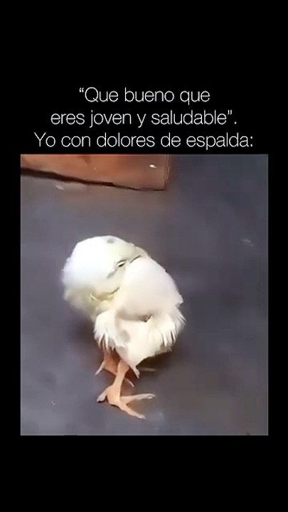 #siemprejovenes #doloresdeespalda #memesyrisas