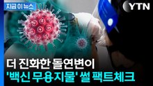코로나19 변이 확산 우려...정부, 직접 밝힌 입장 [지금이뉴스]  / YTN