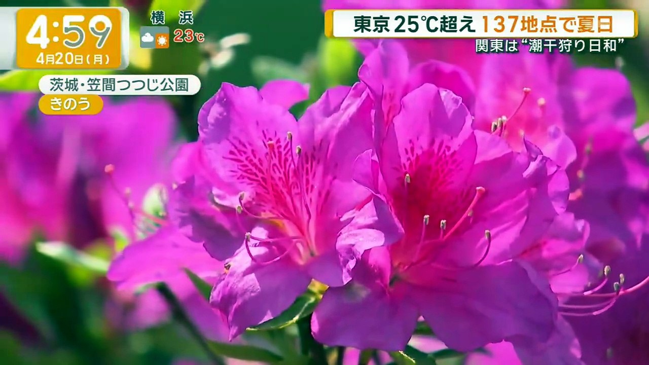 グッド!モーニング   動画　2026年04月20日 5Mio 動画