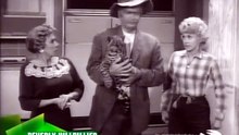 The Beverly Hillbillies S01 E33 The Clampetts Get Psychoanalyzed