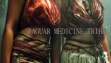 Wings and Wind | Jaguar Medicine Tribe