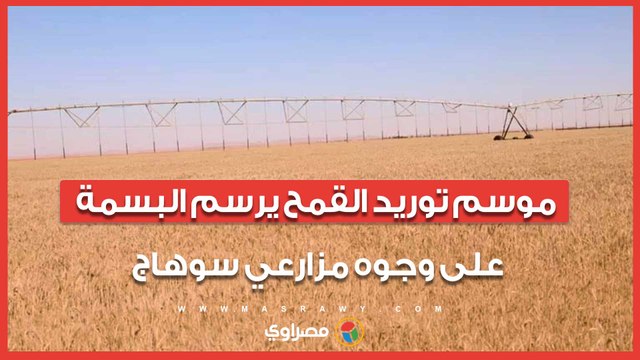 من الحقول إلى الصوامع.. موسم توريد القمح يرسم البسمة على وجوه مزارعي سوهاج
