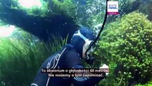 Wystawa „Zanurzony las” znika z lizbońskiego oceanarium