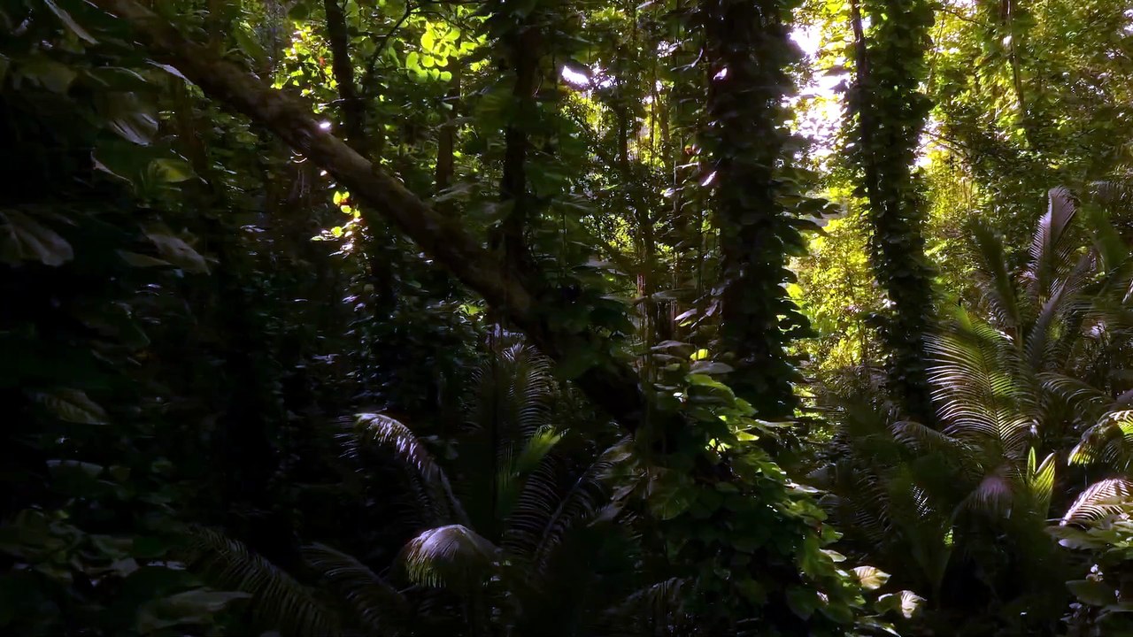 Watch The Dinosaurs Season 1 Episode 4 Full Episode HD Online 2026