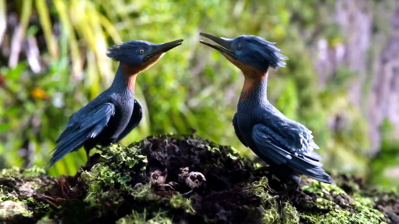 Watch The Dinosaurs Season 1 Episode 3 Full Episode HD Online 2026