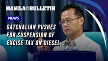 Gatchalian pushes for suspension of excise tax on diesel