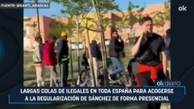 Largas colas de ilegales en toda España para acogerse a la regularización de Sánchez de forma presencial