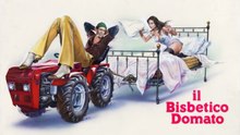 «Il bisbetico domato/1980 HD»