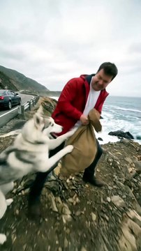 🐺❤️ Brave Husky Finds Old Fisherman to Save Her Puppies – A Heartwarming Miracle! 😭🐶