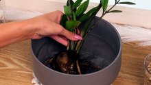 From a boring flower pot to a fancy one! 😍