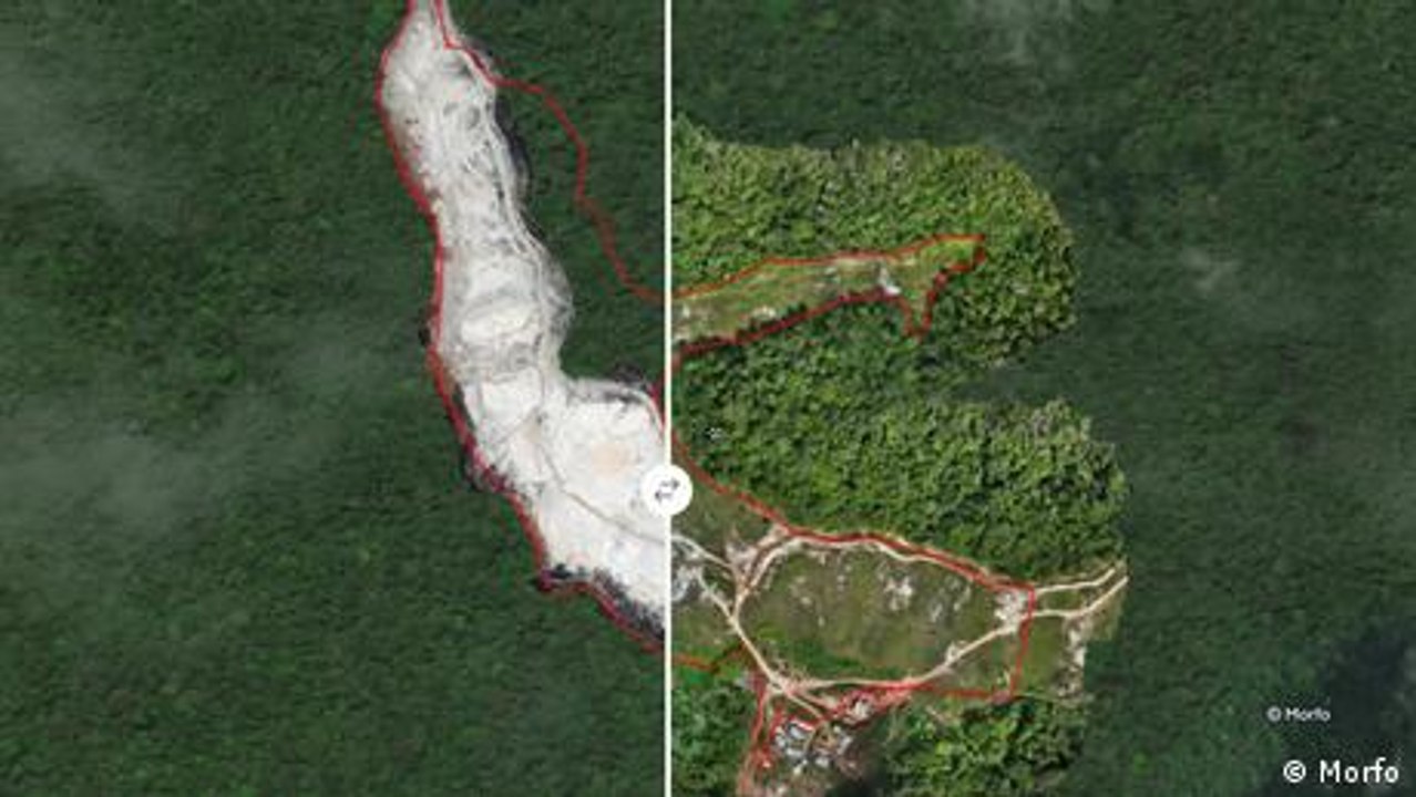 Using AI to plant trees