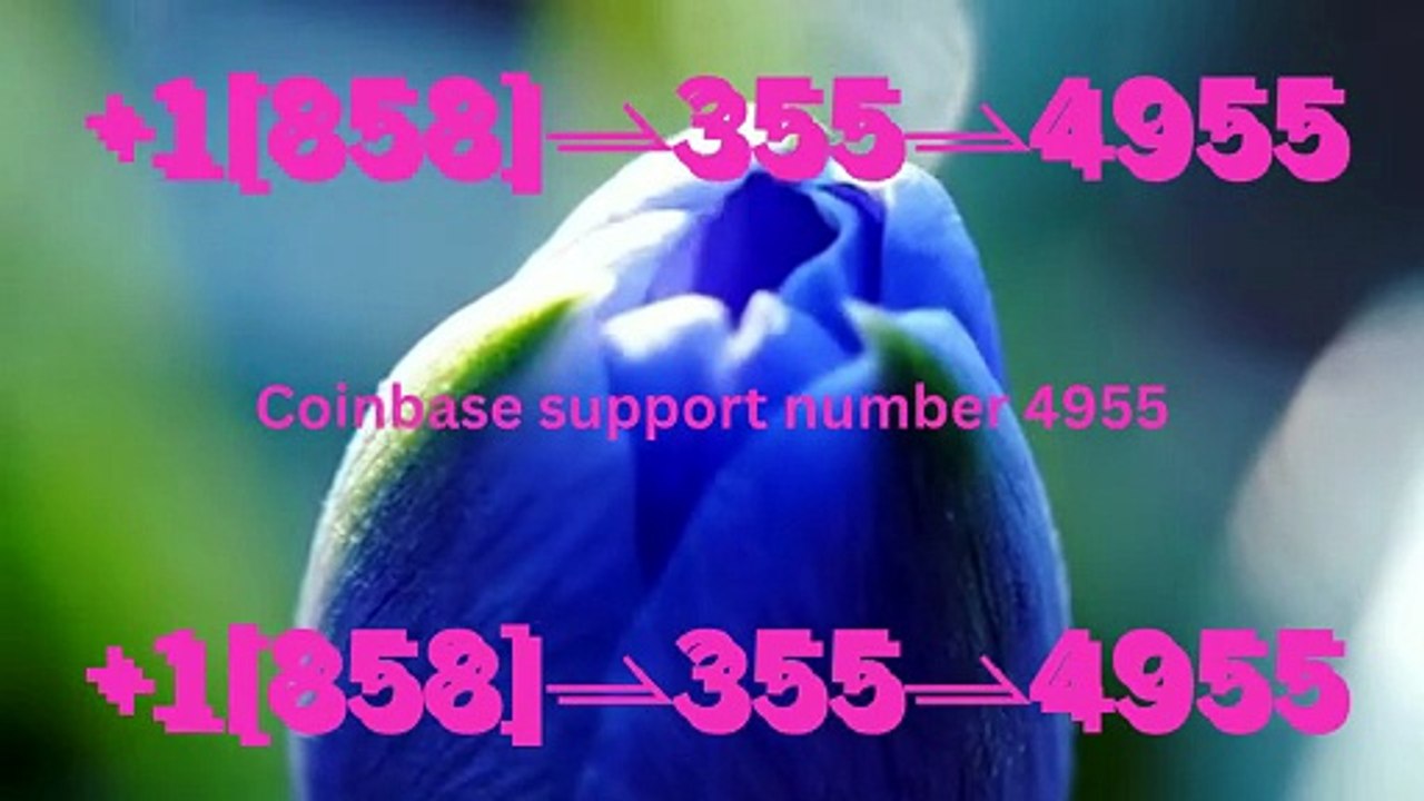 【Anytime Help】⋉अ ⁂[ ⁂Complete List of Official Coinbase Customer Service Number, HELP-DESK Helpline 24/7