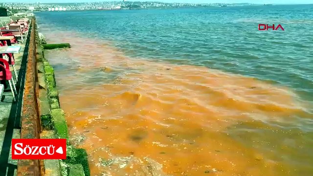 Tekirdağ sahilinde alg patlaması nedeniyle deniz turuncu renge büründü