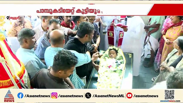 പാമ്പ് കടിയേറ്റ് മരിച്ച ആൽജോയുടെ സംസ്കാരം നടന്നു; സഹോദരൻ അനോഷിന്റെ നിലയിൽ പുരോ​ഗതി