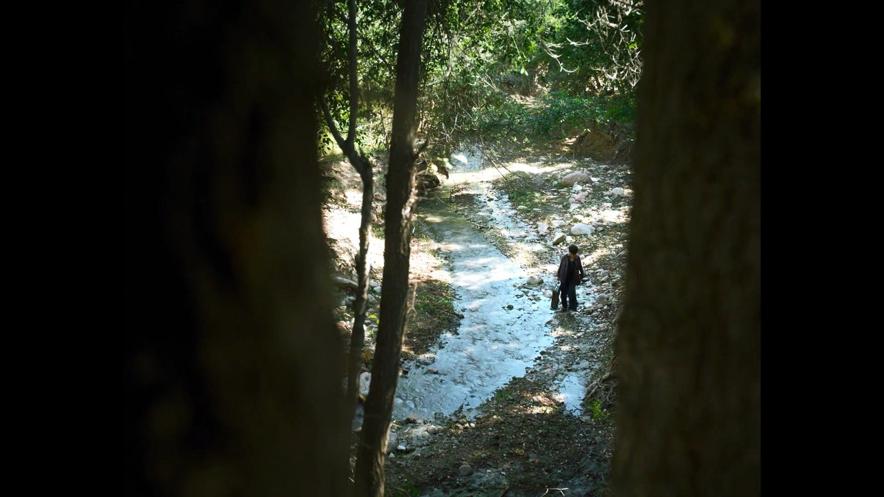 THE BOTANIST - 2025 Teaser