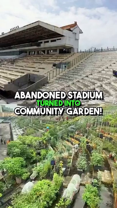 This abandoned stadium has been transformed into a thriving community garden.