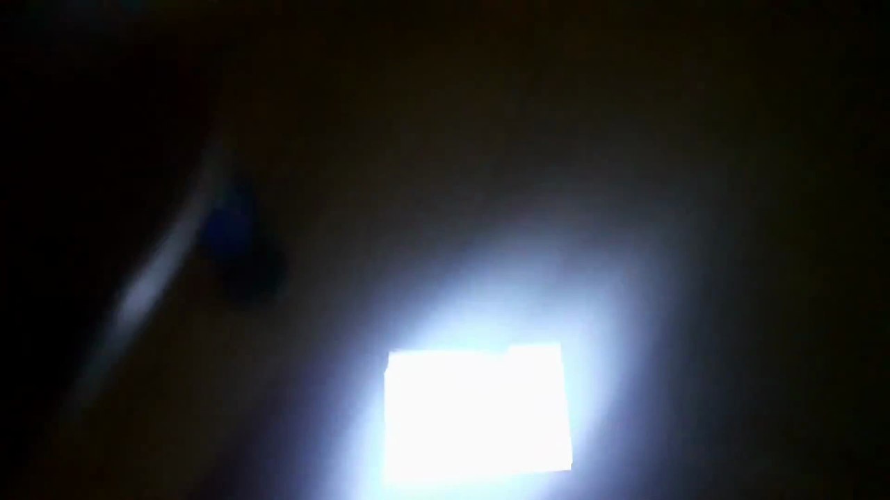 mice glojup^5