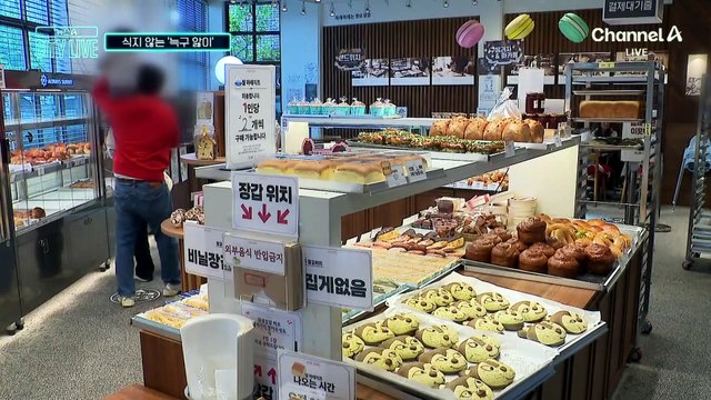 [김종석의 리포트]식지 않는 ‘늑구 앓이’