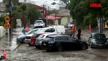 Nuova Zelanda, alluvioni a Wellington: la capitale sommersa dall'acqua