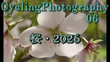 桜・2026　Cycling Photography