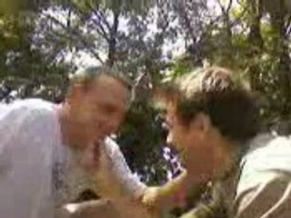 Brice vs daman