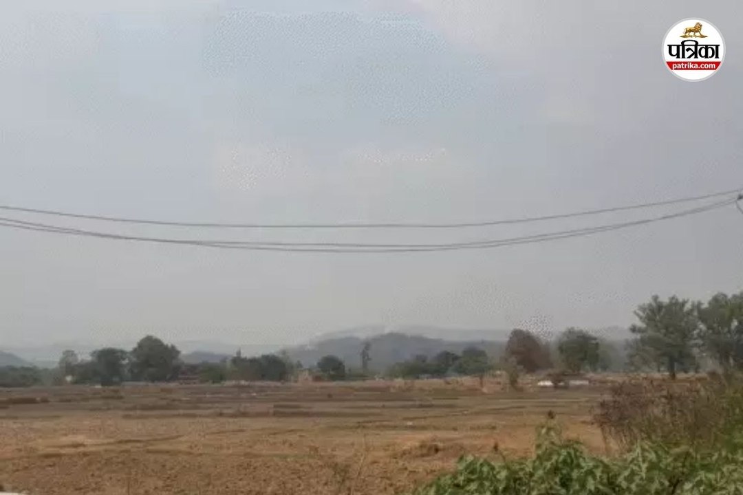 कलेक्टर बोले- जंगल की आग हो सकती है