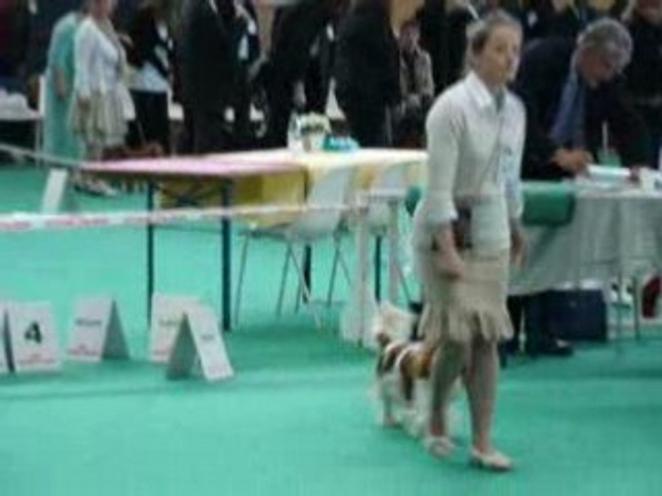 Championnat de France (2)