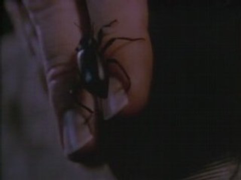 Vampire vous avez dit vampires 2 (fright night 2) 6sur6