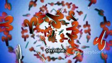 Oroscopo_ Scopri i Segreti dei 12 Segni  zodiacali