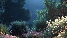 Sleepy Story | Relax and unwind with peaceful bedtime stories #feeling #relaxing