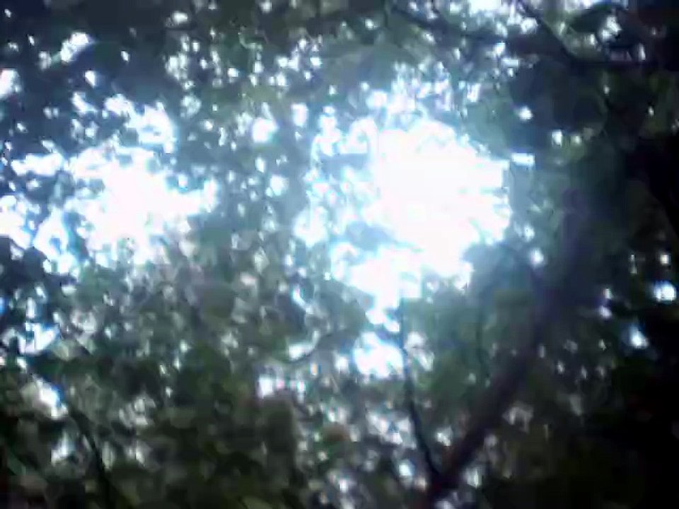 Kopanica