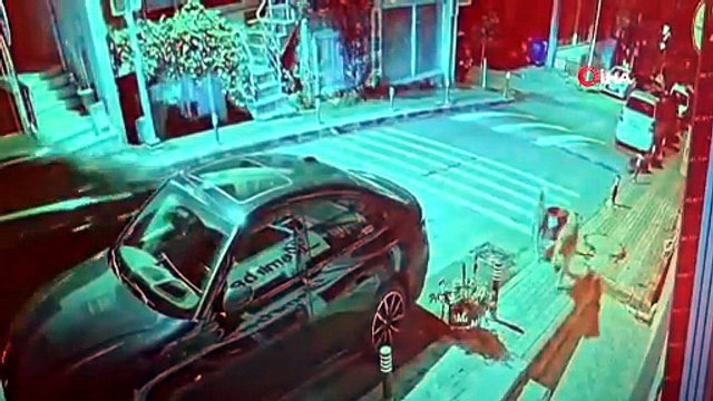 Üsküdar'da başıboş köpeklerin yaptığı şaşırttı!