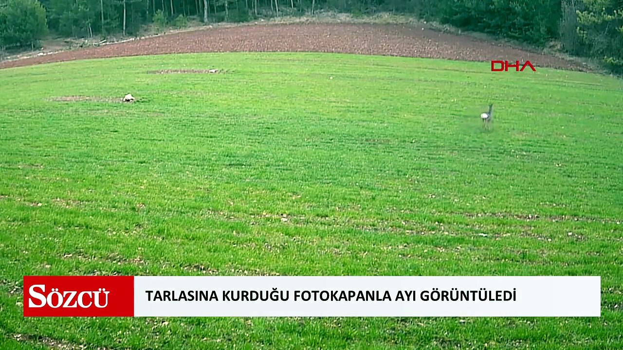 Tarlasına kurduğu fotokapanla ayı görüntüledi