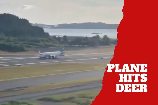 Alaska Airlines plane hits deer during landing in Alaska