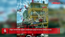 Binayı sardı esnaf fark etti! Özel kutuya yerleştirildiler