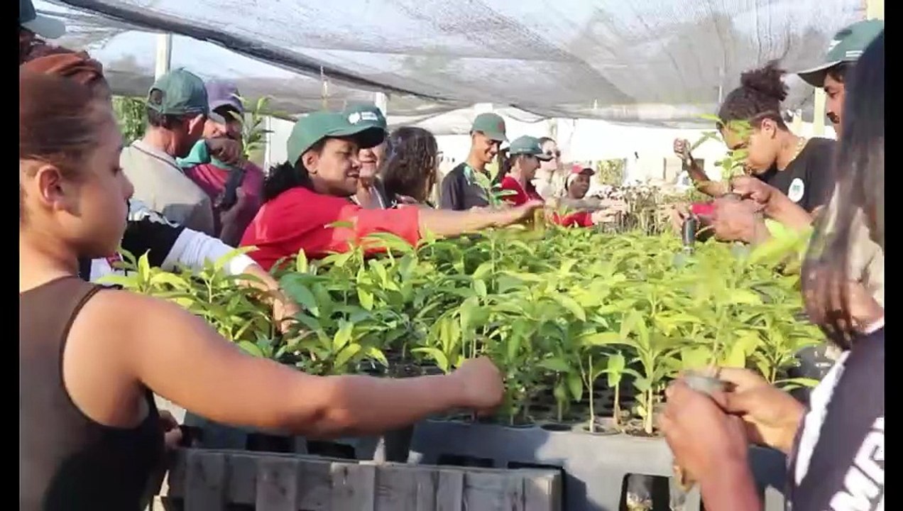 Mini Doc - Direito à Alimentação