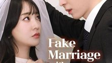 Fake Marriage With My CEO Bestie Kdrama