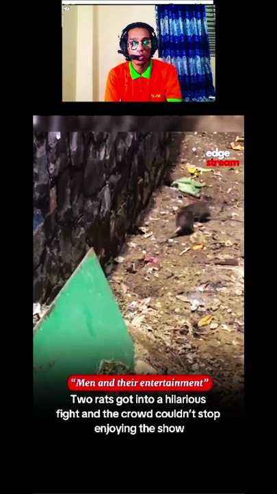 Two Rats Fight, Crowd Goes Wild! 🐀 (Weirdest Street Show)