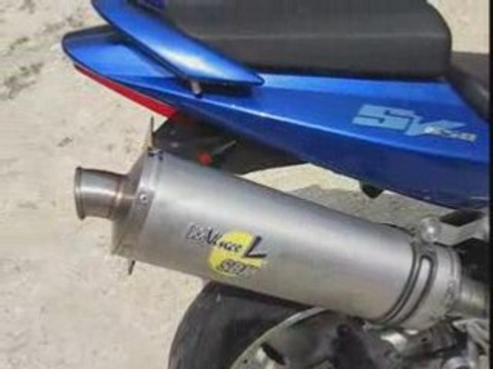 650 sv avec leovince