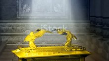 They Took the Ark…Then Terror Came