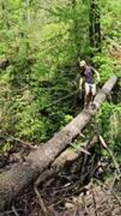 Guy's Log-Walking Challenge Ends in Awkward Fall